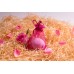 Be2la bath bombs (50 g) - rose